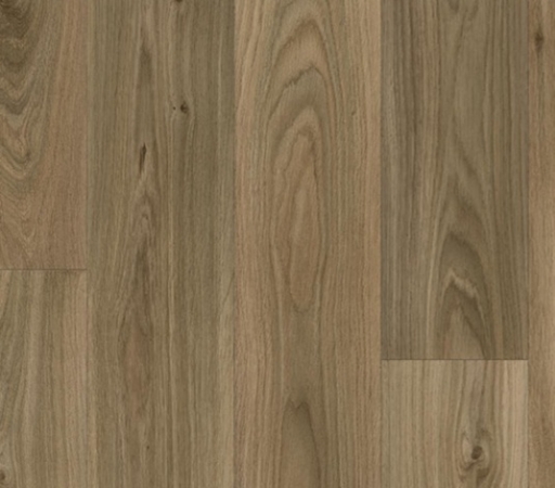 Elast 30 Largo Tex  GO669D